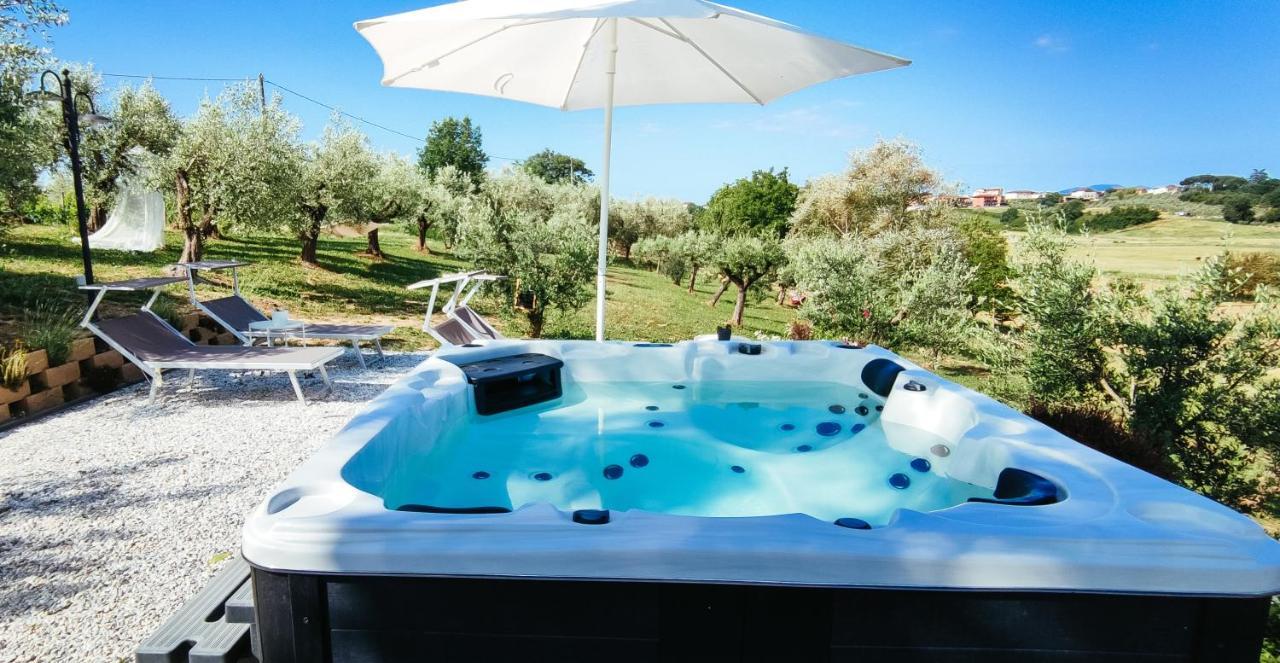 The Olive Grove In Tuscany Toiano ภายนอก รูปภาพ